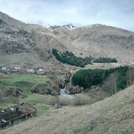 Vardisubani Villa Kazbegi Luaran gambar