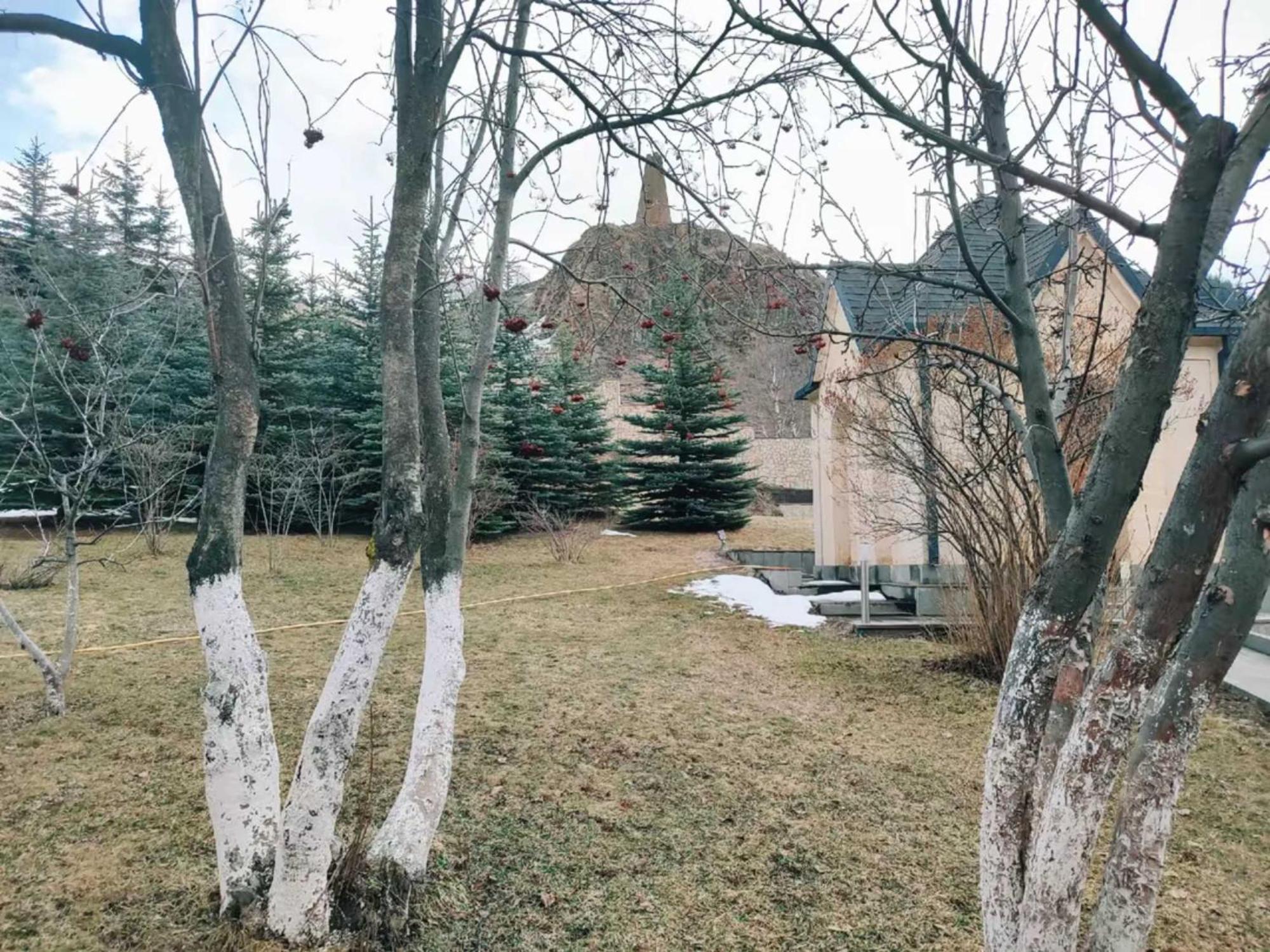 Vardisubani Villa Kazbegi Luaran gambar