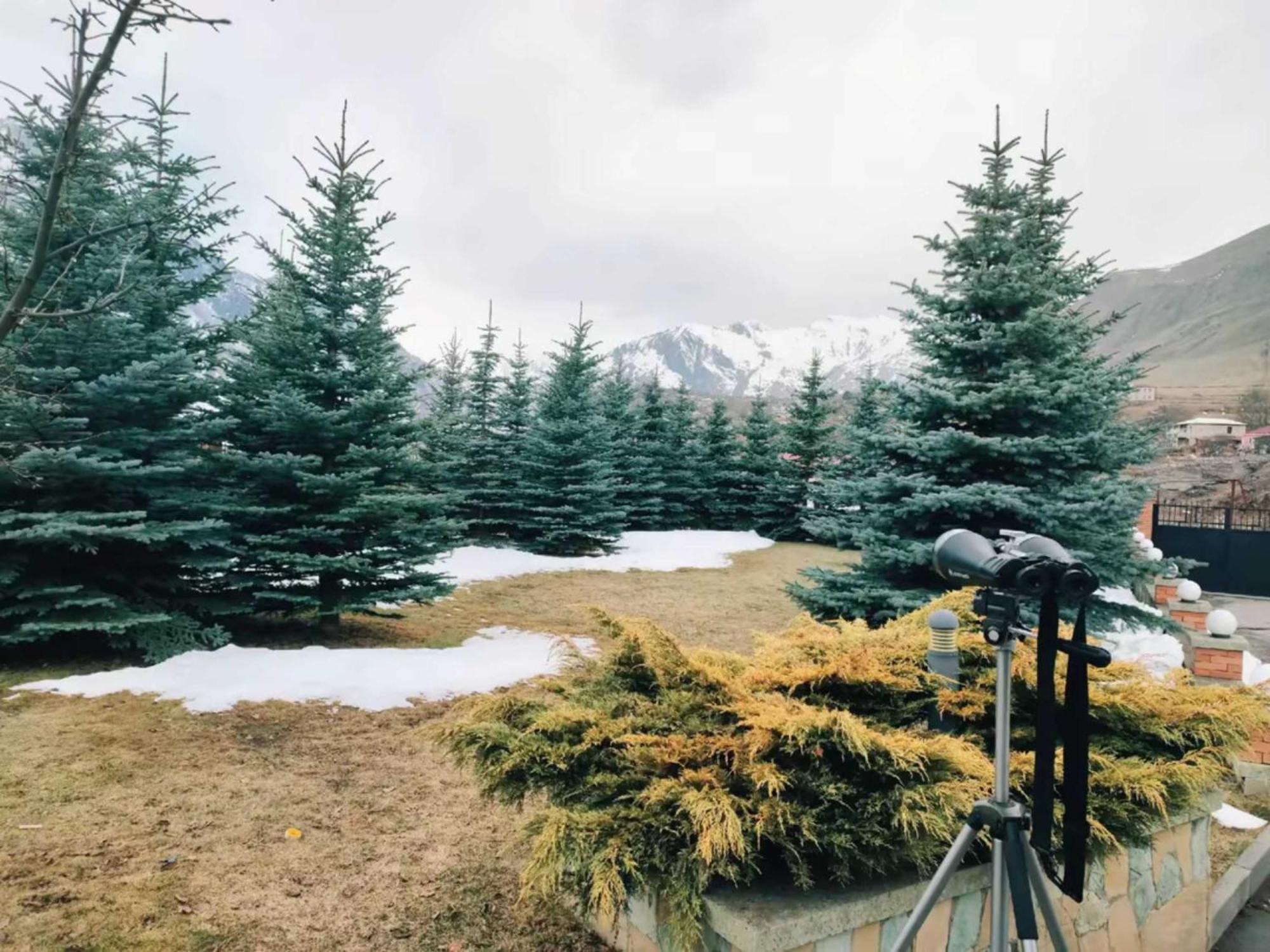 Vardisubani Villa Kazbegi Luaran gambar