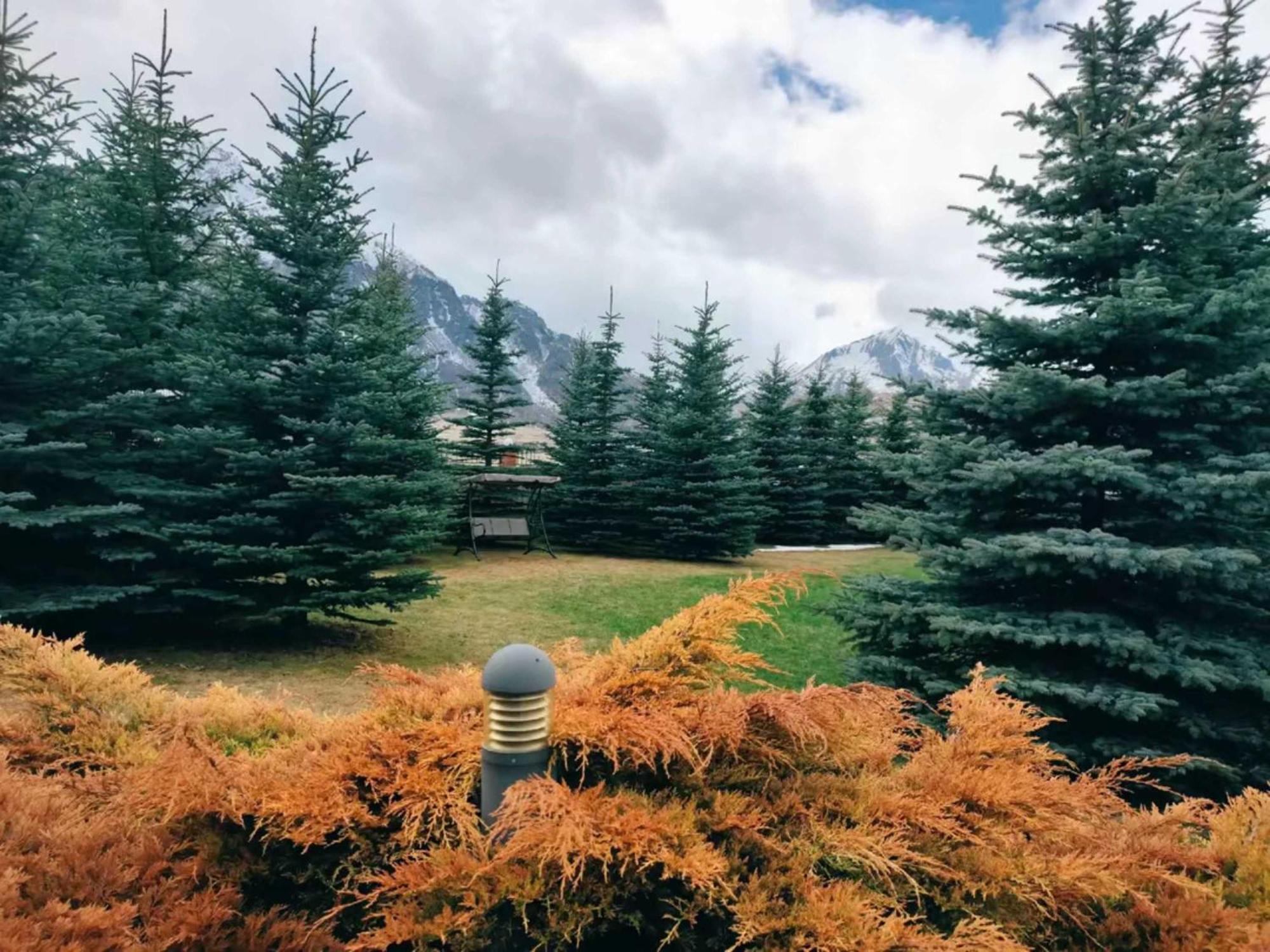 Vardisubani Villa Kazbegi Luaran gambar