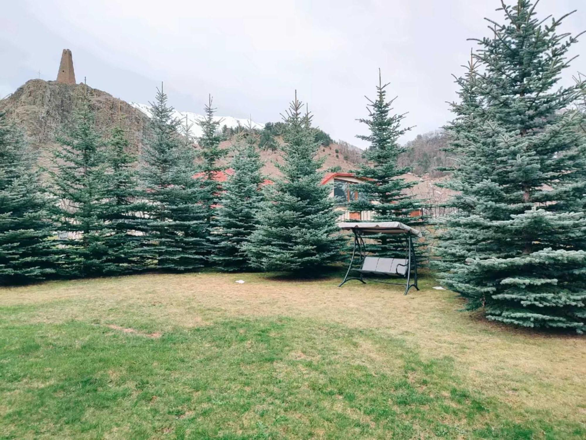 Vardisubani Villa Kazbegi Luaran gambar