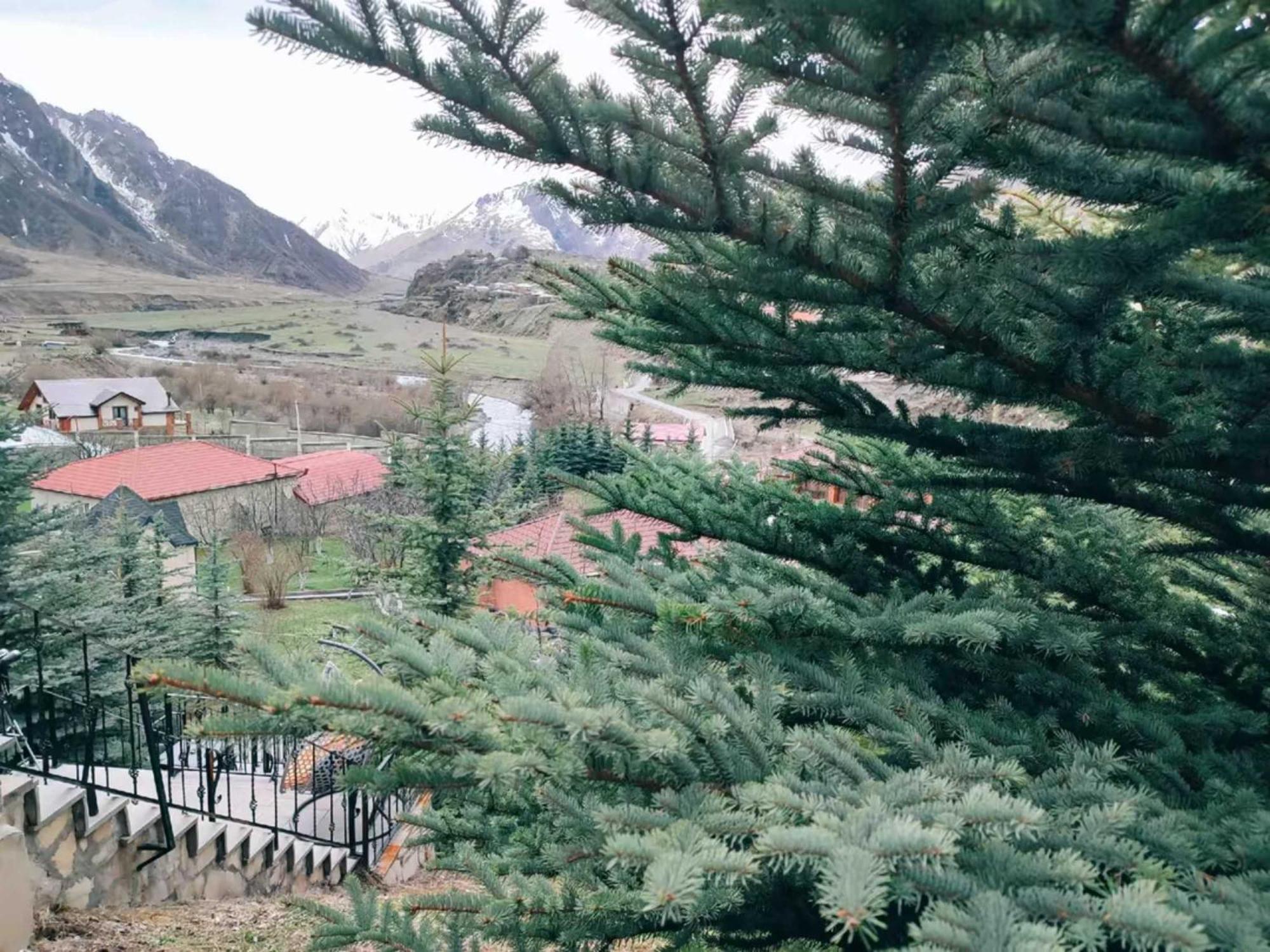 Vardisubani Villa Kazbegi Luaran gambar