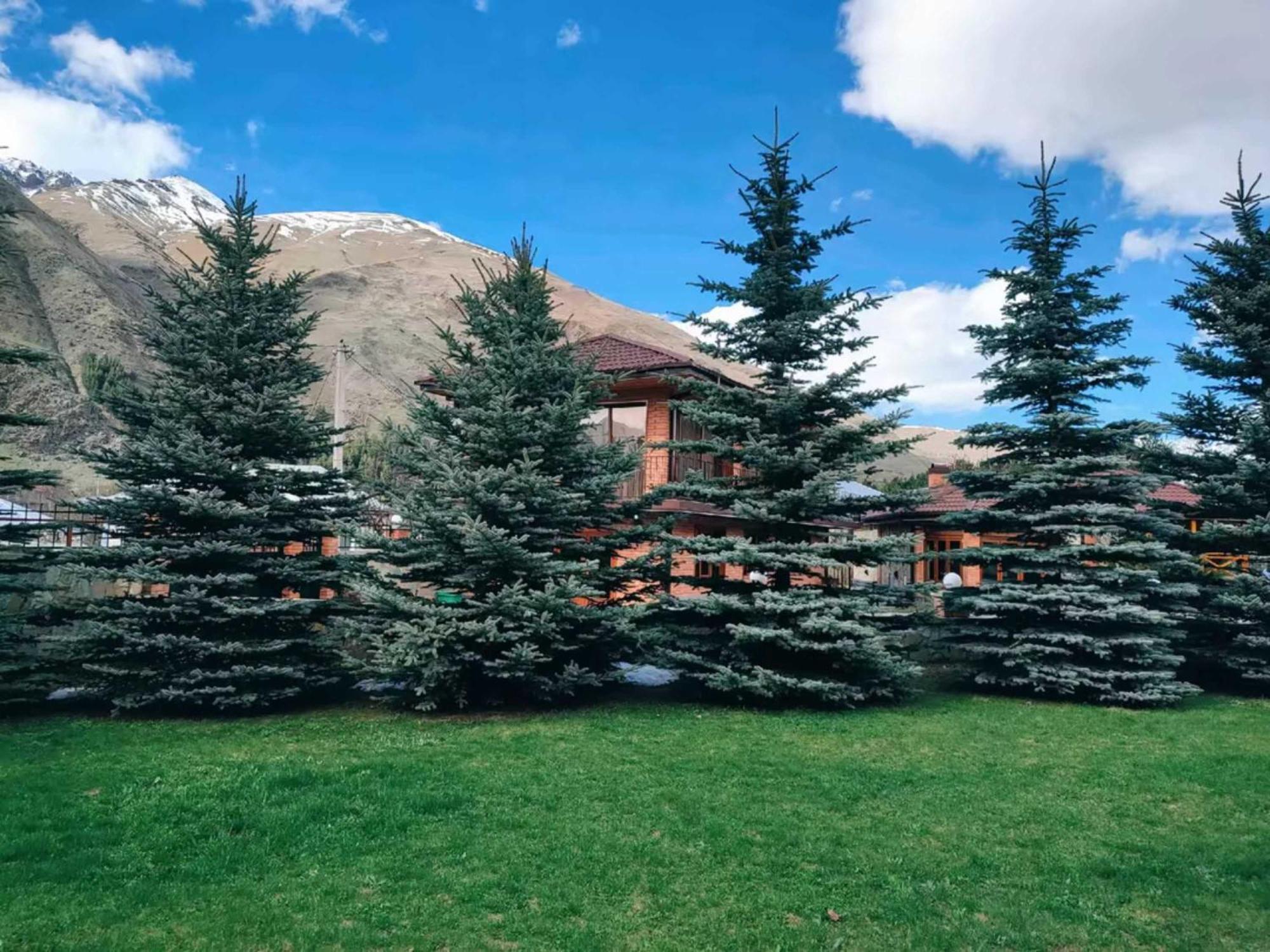 Vardisubani Villa Kazbegi Luaran gambar