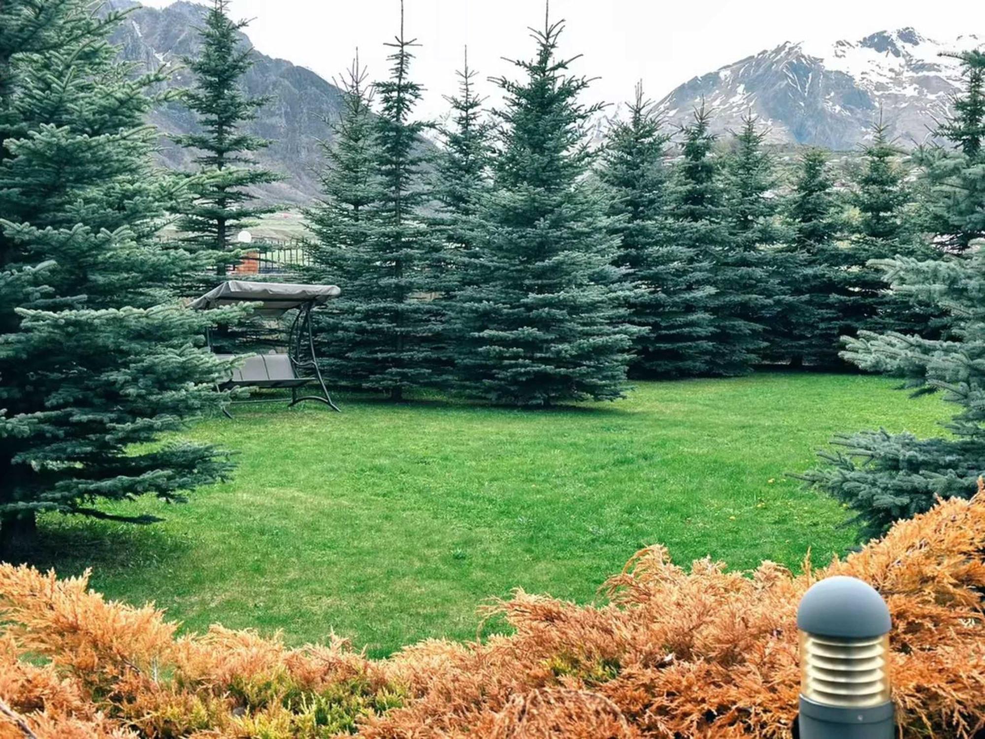 Vardisubani Villa Kazbegi Luaran gambar